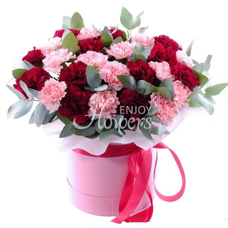 Композиция из 25 бордовых и розовых гвоздик в коробке "Розовые и бордовые гвоздики"