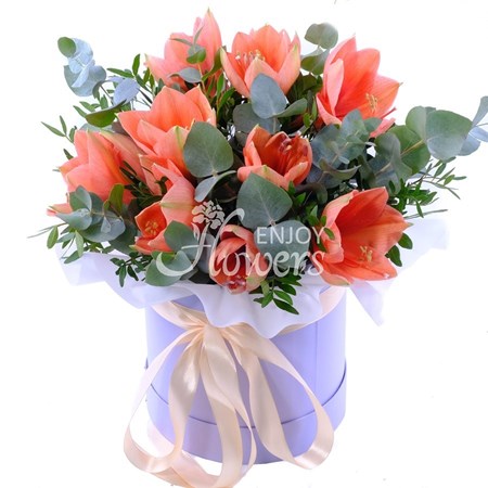 Композиция из 3 персиковых амариллисов с эвкалиптом в коробке "Персиковые амариллисы"