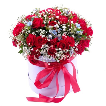 Композиция в коробке из 7 красных кустовых роз с оксипеталумом "Мерцающая ночь"