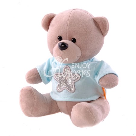 Мягкая игрушка "Медведь Топтыжкин серый звезда"