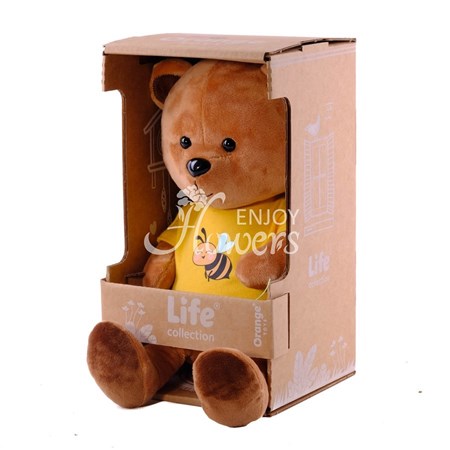 Мягкая игрушка "Медвежонок Медок"