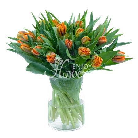 Тюльпаны пионовидные оранжевые